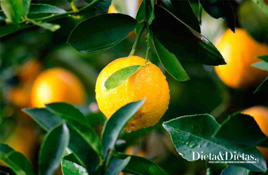 2 Receitas com limão para combater a celulite e a obesidade
