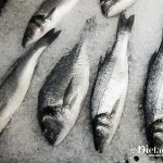 Peixes de águas frias Acabam com a Azia e Refluxo