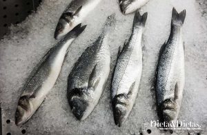 Peixes de águas frias Acabam com a Azia e Refluxo