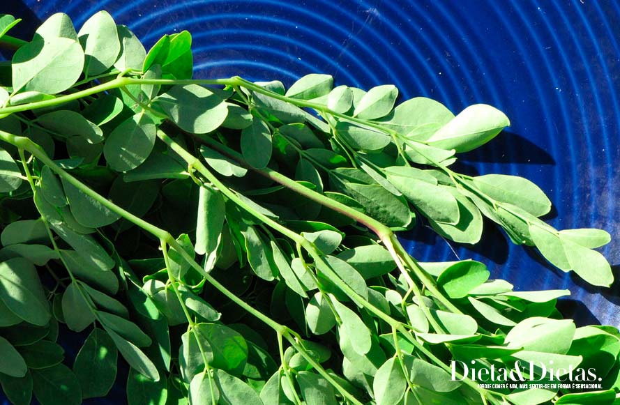 10 Benefícios do Chá de Moringa para a saúde