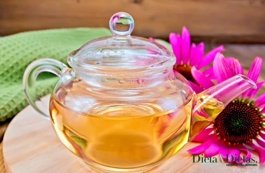 12 Benefícios do Chá de Equinácea