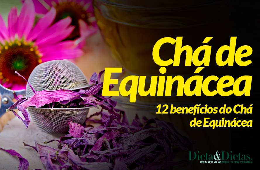12 Benefícios do Chá de Equinácea