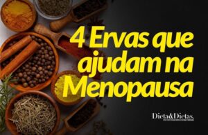 5 Ervas que ajudam o corpo durante as exigências e transformações da menopausa ajudam Menopausa